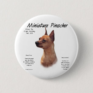 Zwergpinscher-(roter) Geschichtsentwurf Button