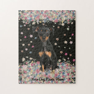Zwergpinscher sitzt Blumenland