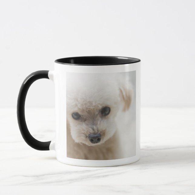 Zwergpudel Tasse (Links)