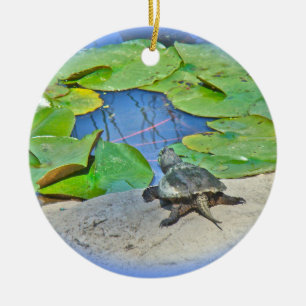 Zwergschildkröte - Chelydra serpentina Keramik Ornament
