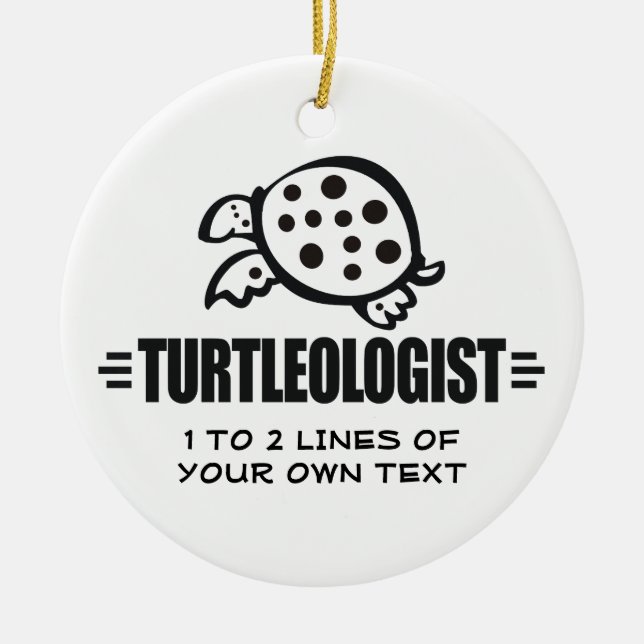 Zwergschildkröte Keramikornament (Vorne)
