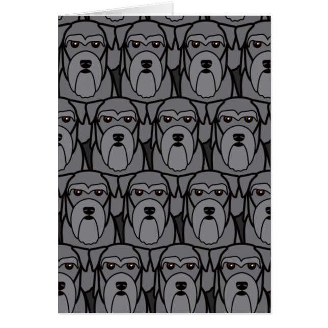 Zwergschnauzer (Vorne)