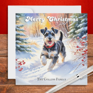 Zwergschnauzer im Schnee Weihnachten