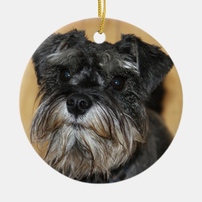 Zwergschnauzer Keramikornament (Vorne)