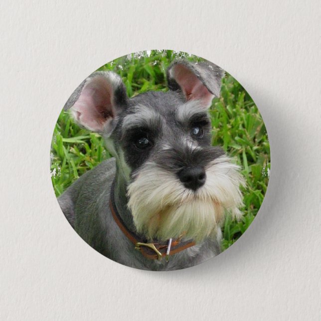 Zwergschnauzer-Knopf Button (Vorderseite)