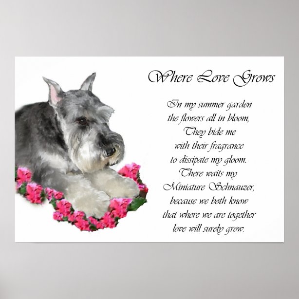 Gedicht Hund Poster Zazzle.ch