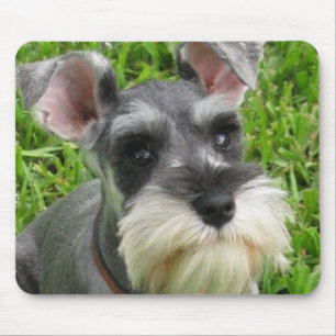 Zwergschnauzer-Mausunterlage Mousepad