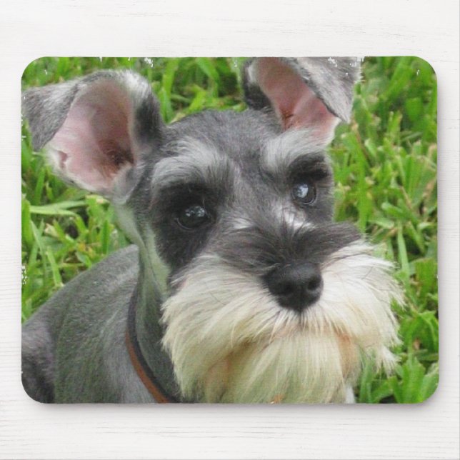 Zwergschnauzer-Mausunterlage Mousepad (Vorne)