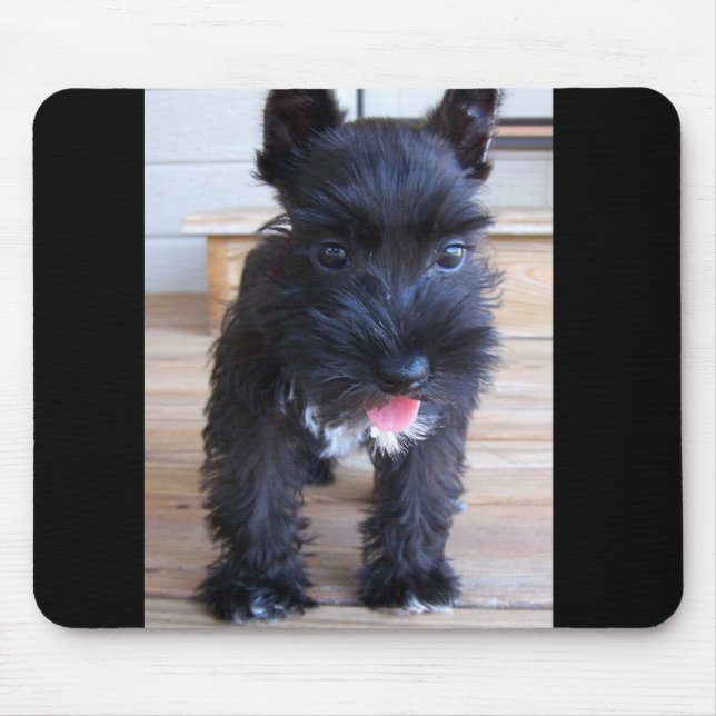 Zwergschnauzer Mousepad (Vorne)