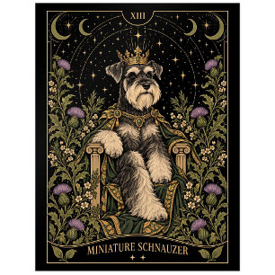 Zwergschnauzer, Sternen-Tarot-Kunst Postkarte