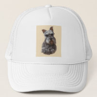 Zwergschnauzer