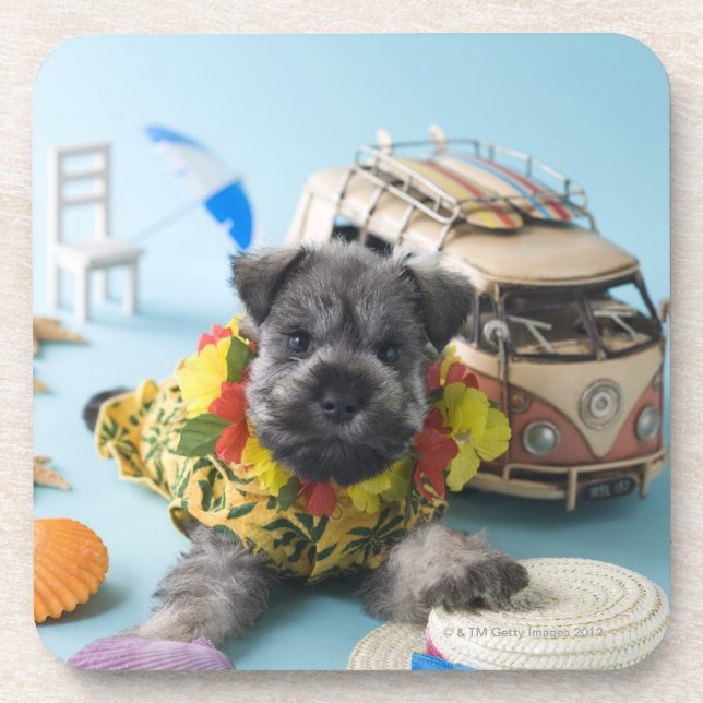 Zwergschnauzer-Welpe und Sommer-Ferien Getränkeuntersetzer (Vorderseite)