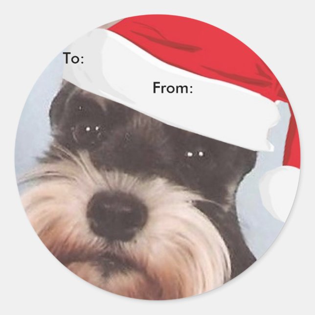 Zwergschnauzer zu/von Weihnachtsaufklebern Runder Aufkleber (Vorderseite)
