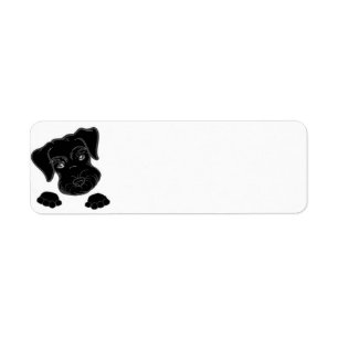Zwergschnauzerschwarzspähen