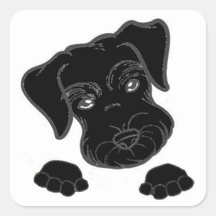 Zwergschnauzerschwarzspähen Quadratischer Aufkleber
