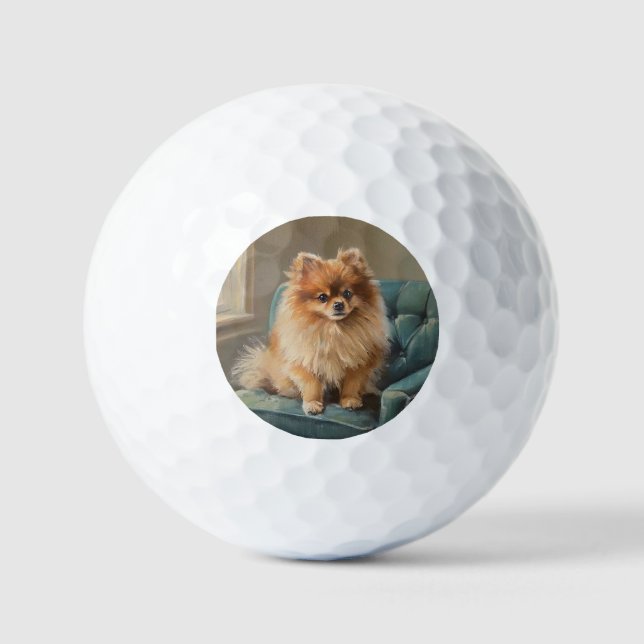 Zwergspitz Golfball (Vorderseite)