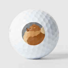Zwergspitz Golfball
