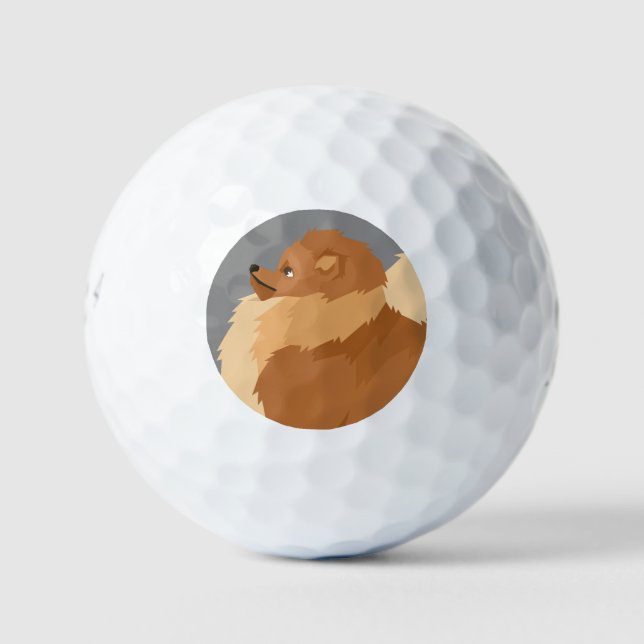 Zwergspitz Golfball (Vorderseite)
