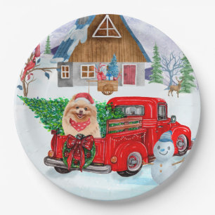 Zwergspitz im Weihnachtslieferwagen im Schnee Pappteller