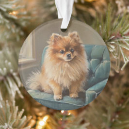 Zwergspitz Ornament