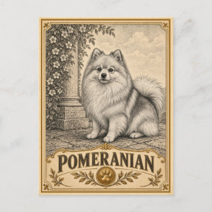 Zwergspitz, Vintage Heritage Hund Postkarte