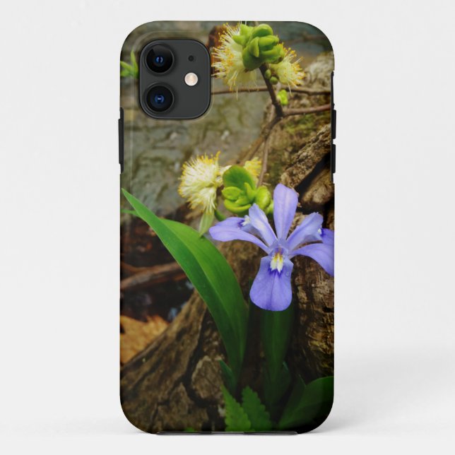 Zwergzwerg Iris lila weiße Blume Case-Mate iPhone Hülle (Rückseite)