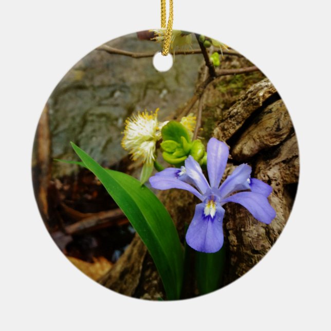 Zwergzwerg Iris lila weiße Blume Keramikornament (Vorne)