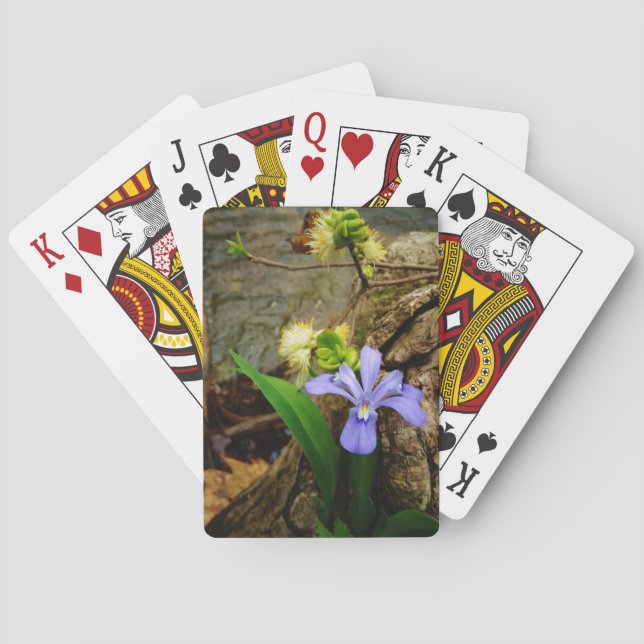 Zwergzwerg Iris lila weiße Blume Spielkarten (Rückseite)