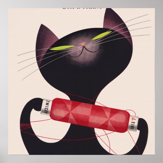 Zwicky Cat Poster von Donald Brun (Vorne)