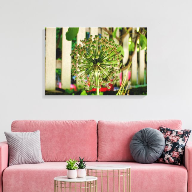 Zwiebel Leinwanddruck (Insitu (Wohnzimmer))