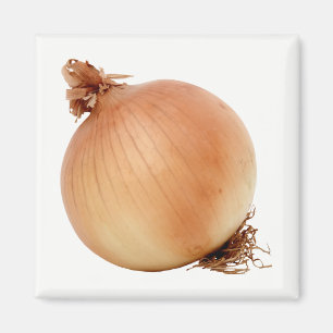 Zwiebel Magnet