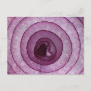 Zwiebel Postkarte