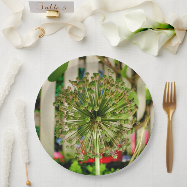 Zwiebelpapier Pappteller (Hochzeit)