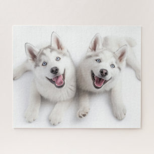 Zwilling-Husky