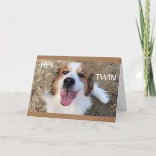 **ZWILLINGE** HABEN DEN "BESTEN" GEBURTSTAG ALLE Z KARTE