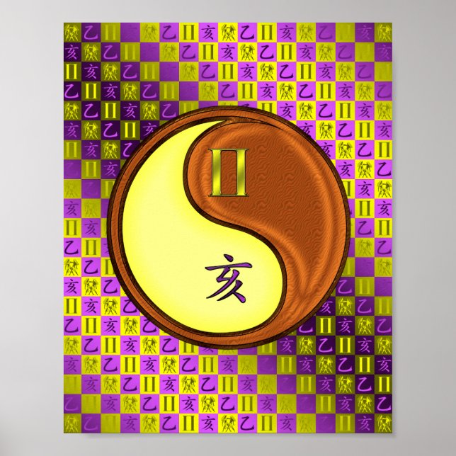 Zwillinge Poster (Vorne)