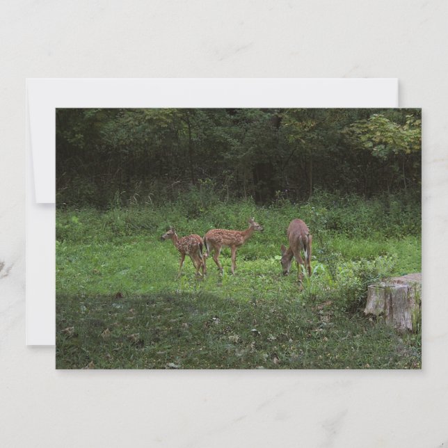 Zwillinge und ihre Mutter Einladung (Vorderseite)