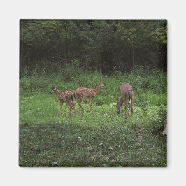 Zwillinge und ihre Mutter Magnet