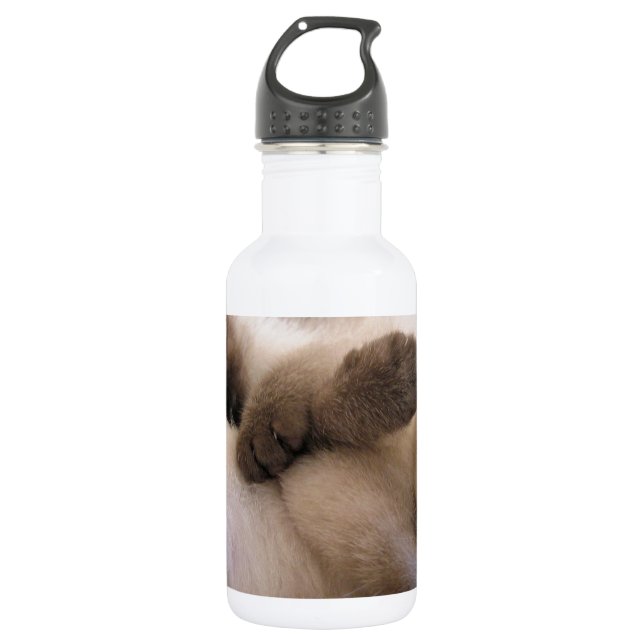 Zwillings-Haustier-Katzen-niedliches siamesisches Trinkflasche (Vorderseite)