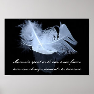 Zwillingsflammfedern und Reflektion Poster