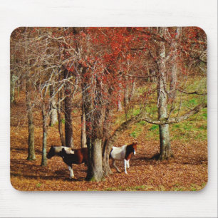 Zwillingspferde Mousepad