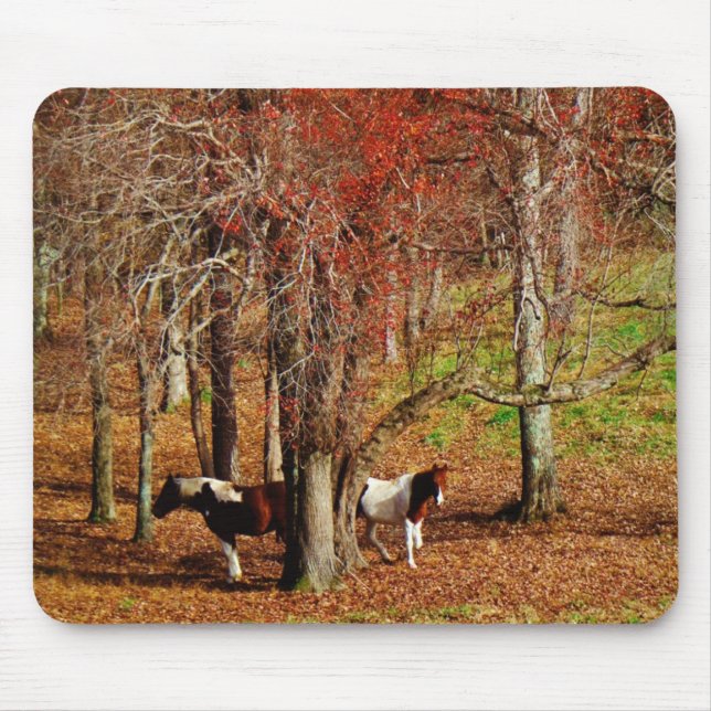 Zwillingspferde Mousepad (Vorne)