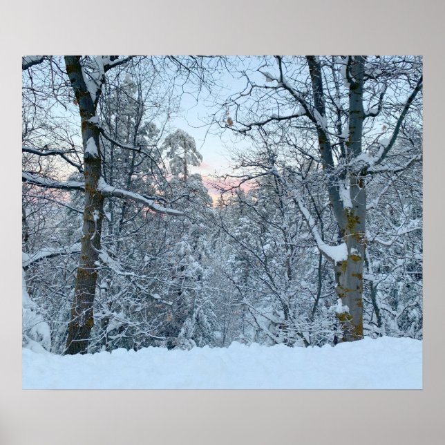 Zwillingsschnee auf Bäumen Poster (Vorne)