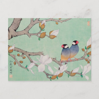 Zwillingsvögel in den Zweigen Postkarte