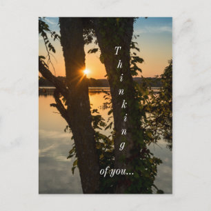 Zwischen den Bäumen Sonnenaufgang denken Sie Postk Postkarte