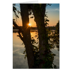 Zwischen den Bäumen Sonnenaufgang Grußkarte