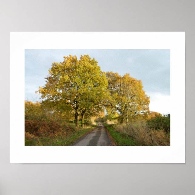 Zwischen den Oaks: Rural Cheshire Poster (Vorne)