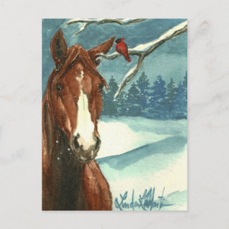 Zwischen Freunden Wildpferd Post Card Postkarte