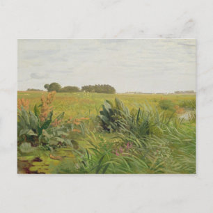 Zwischen Geest und Marsh, c.1880 Postkarte