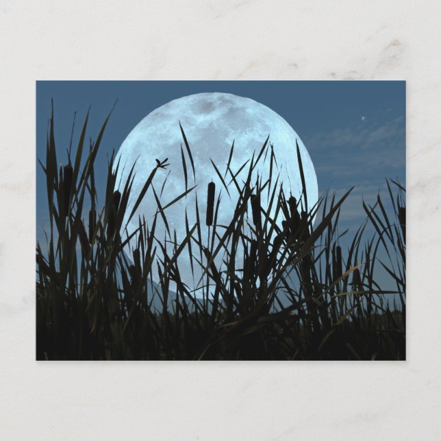 Zwischen Moon und Marsh Postkarte (Vorderseite)